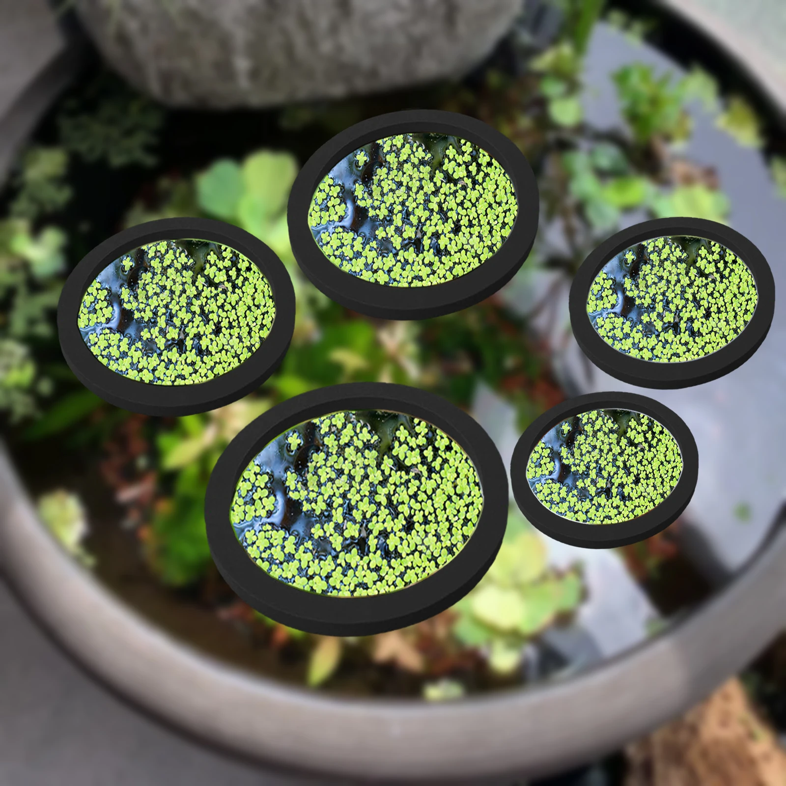 Aquarium Planting - 5Pcs EVA Fish Feeding Ring Aquarium