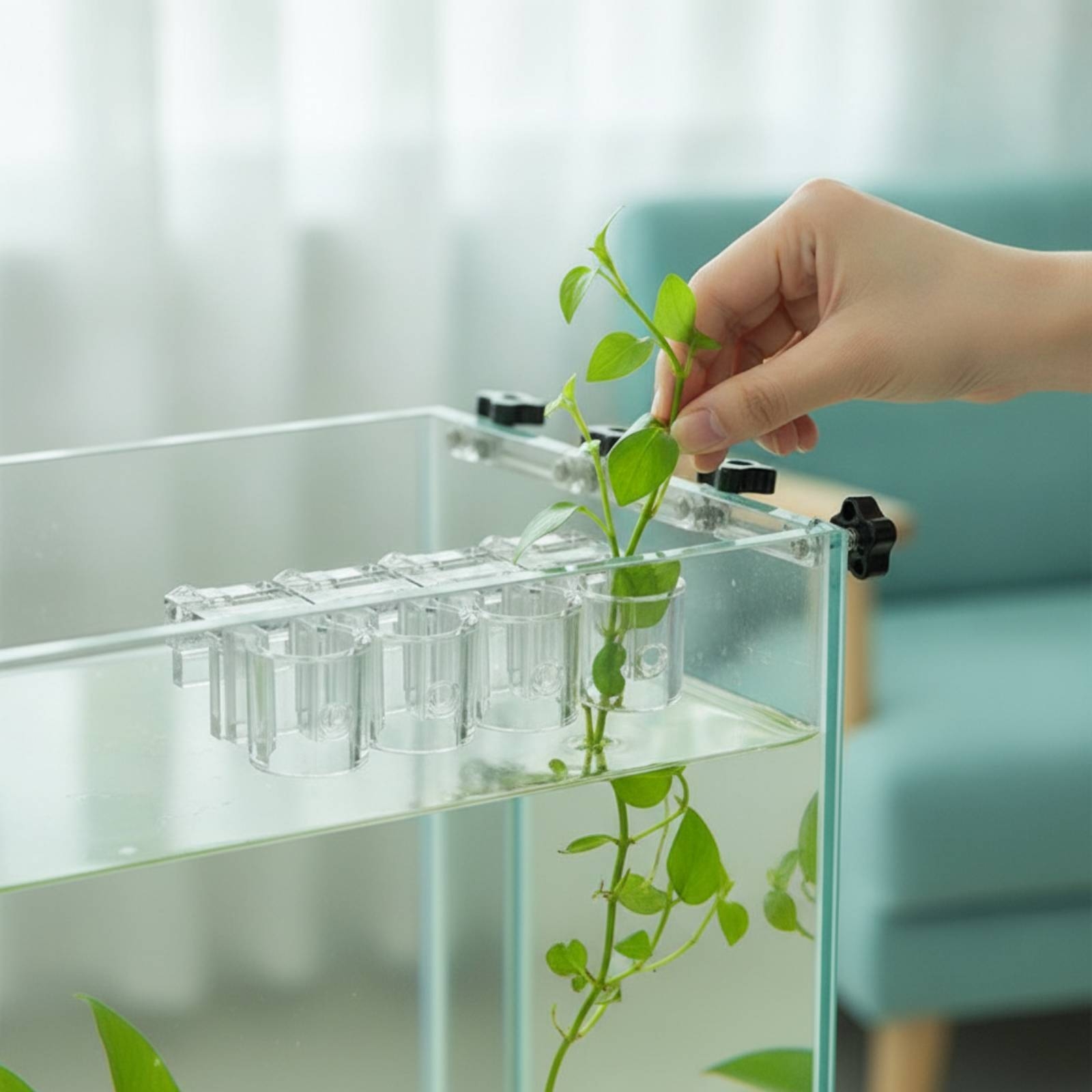 6 Pieces Aquarium Planter Clea - Aquarium Planting 评论和价格