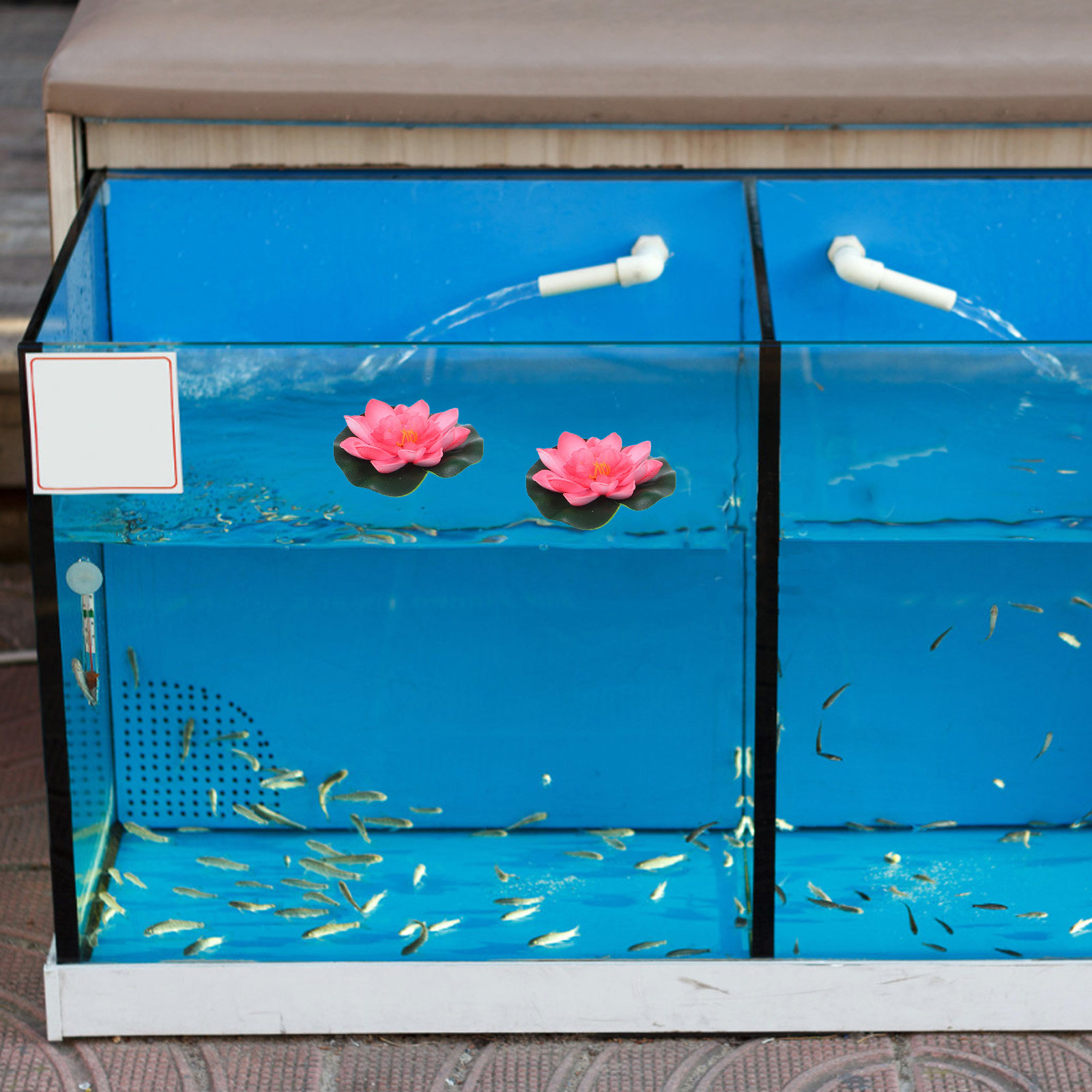 12Pcs Artificial Floating Wate - Aquarium Planting 评论和价格