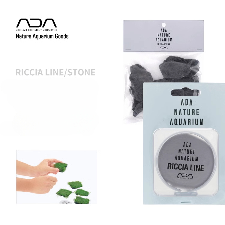ADA Riccia Line Antler Moss Bi - Planted Aquarium Ada 评论和价格