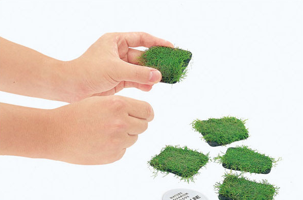ADA Riccia Line Antler Moss Bi - Planted Aquarium Ada 评论和价格
