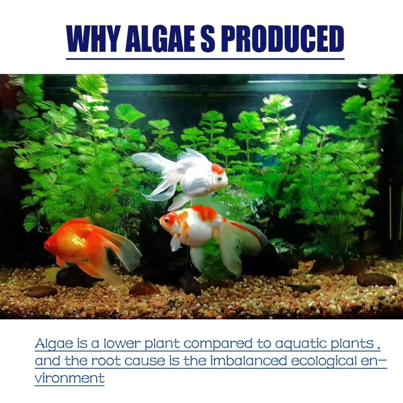 50g High Efficiency Algaecide  - Planted Aquarium Fertilizer 评论和价格