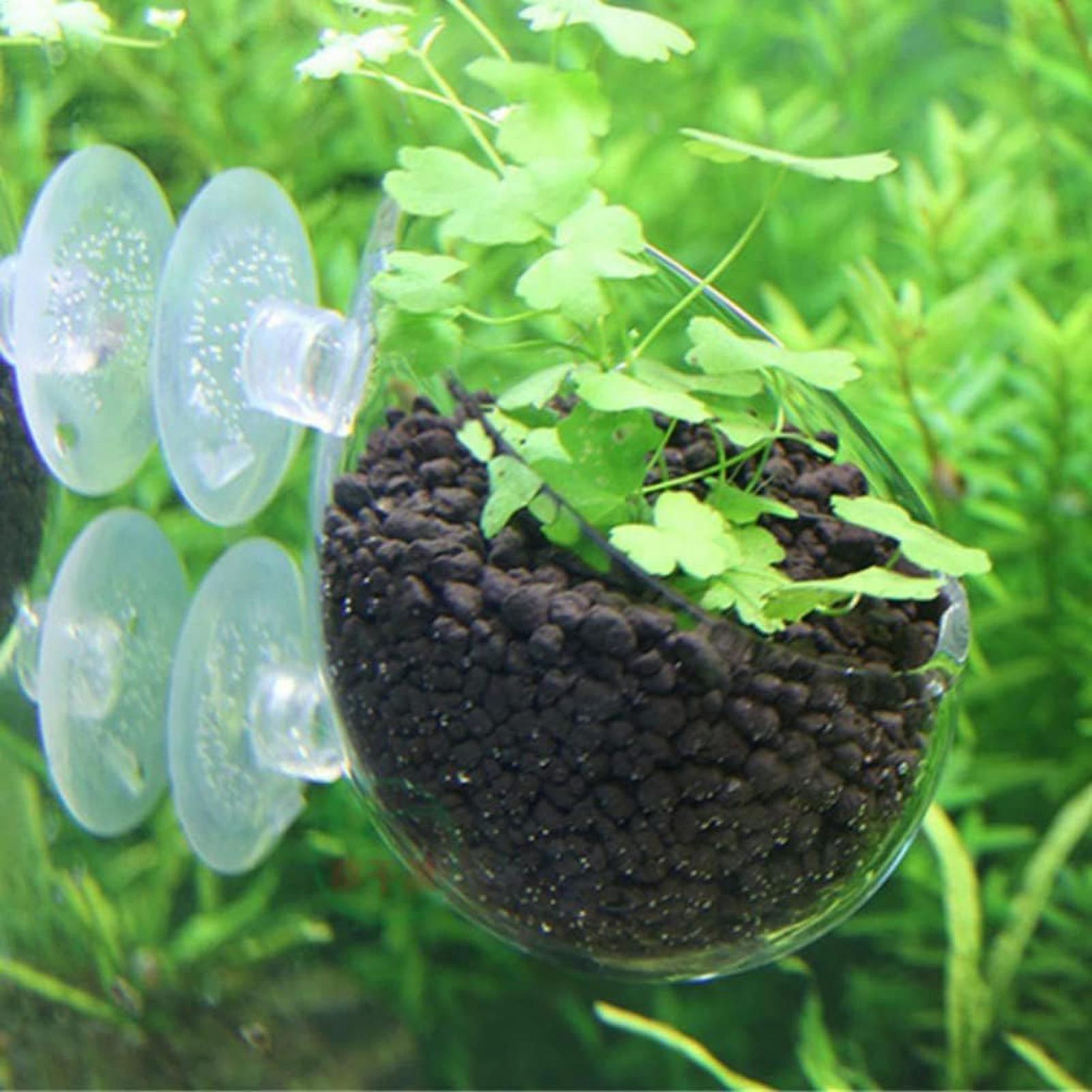 Aquarium Plant Holder Glass Aq - Planted Aquarium Media 评论和价格