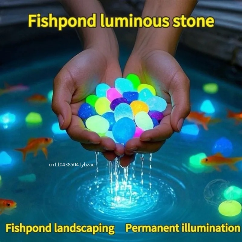 100-800pcs Glow in The Dark Pe - Aquarium Planting 评论和价格