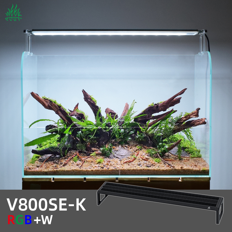 ZXY WEEK ADA Same Type Water S - Planted Aquarium Ada 评论和价格