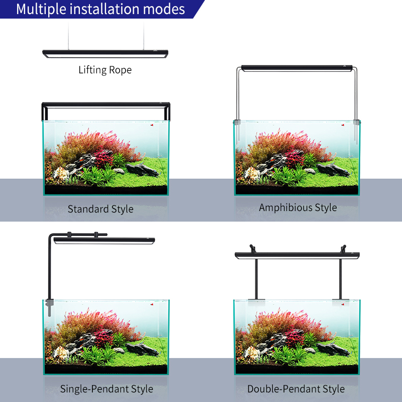ZXY WEEK ADA Same Type Water S - Planted Aquarium Ada 评论和价格