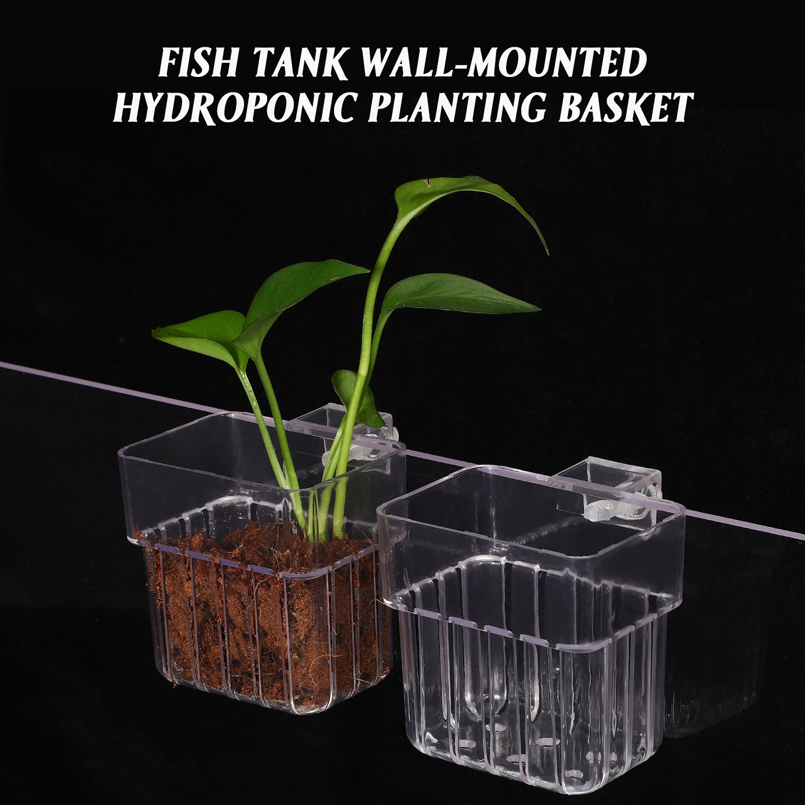 4Pcs Aquarium Plant Holders Cl - Aquarium Planted Setup 评论和价格