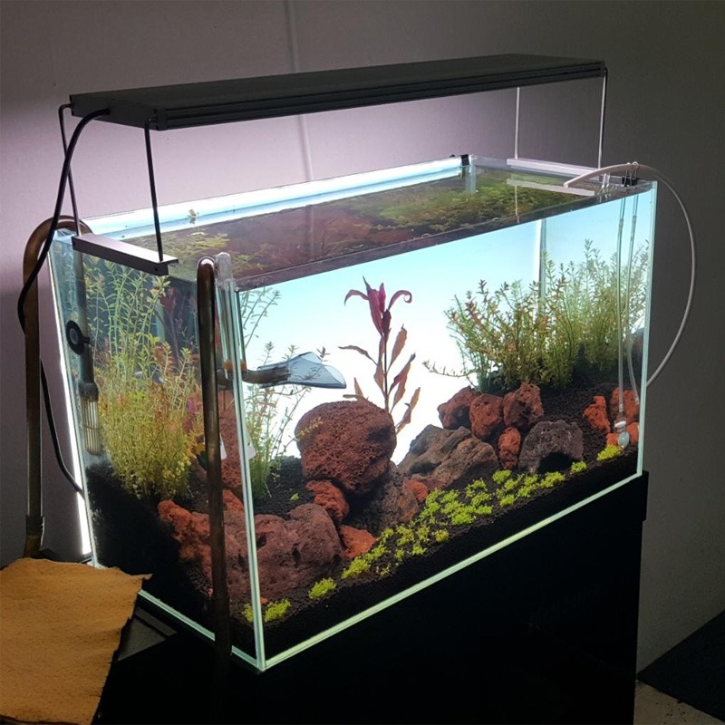 Best-Selling LED Aquarium Lamp - Planted Aquarium Best Fish 评论和价格
