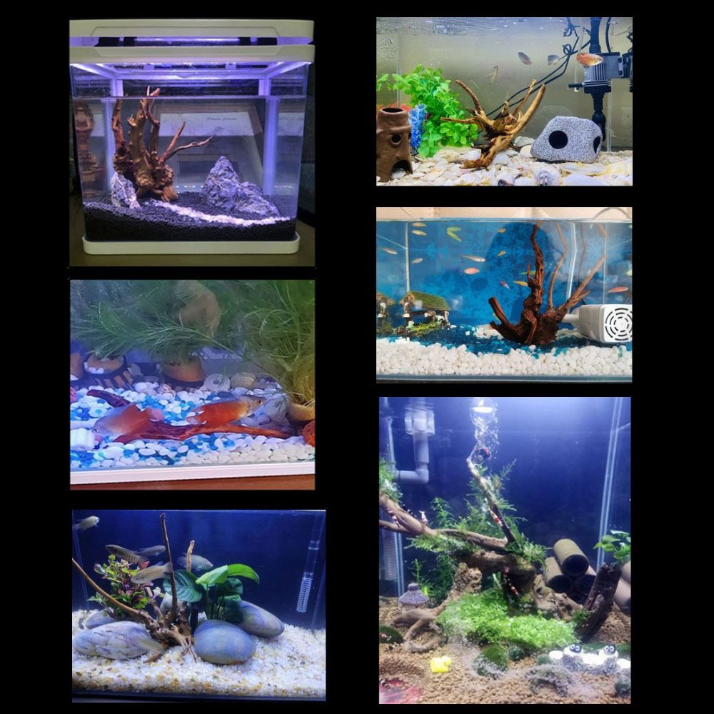 Natural Tree Trunk Aquarium De - Aquarium Planted Tree 评论和价格
