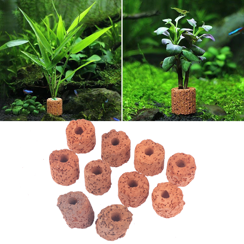 10Pcs Mini Aquatic Plant Ring  - Aquarium Planted Setup 评论和价格