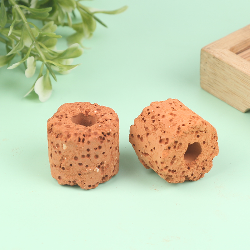 10Pcs Mini Aquatic Plant Ring  - Aquarium Planted Setup 评论和价格