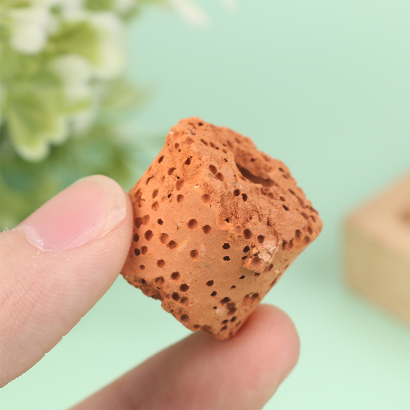 10Pcs Mini Aquatic Plant Ring  - Aquarium Planted Setup 评论和价格