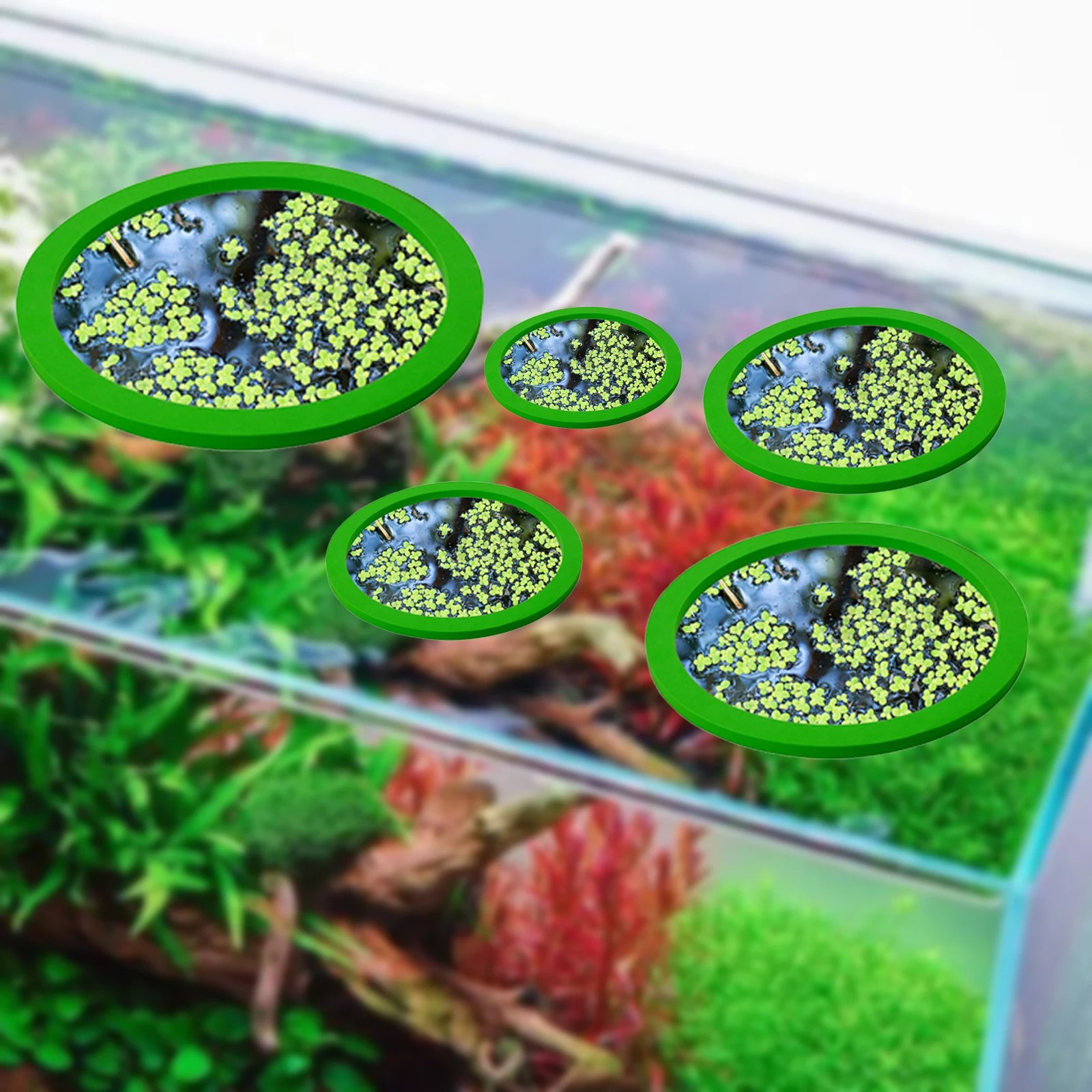 5Pcs EVA Fish Feeding Ring Aqu - Aquarium Planting 评论和价格
