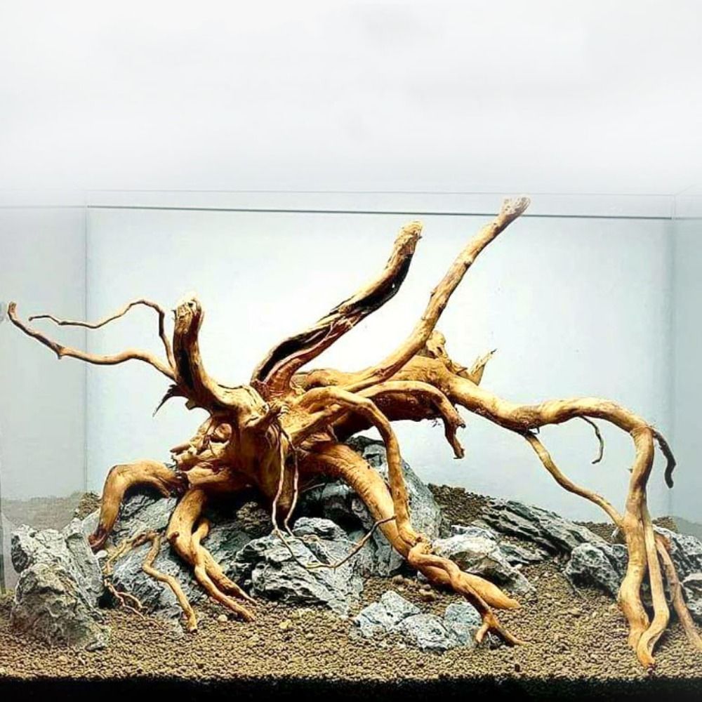 20-25CM Large Aquarium Driftwo - Aquarium Planted Tree 评论和价格