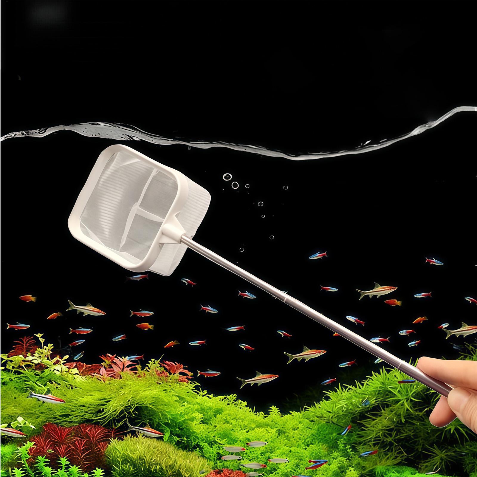 Extendable Long Handle Fine Me - Aquarium Planted Tree 评论和价格