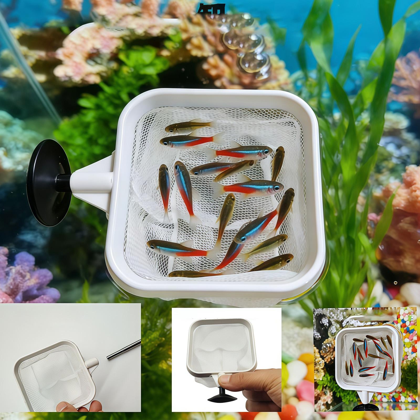 Extendable Long Handle Fine Me - Aquarium Planted Tree 评论和价格