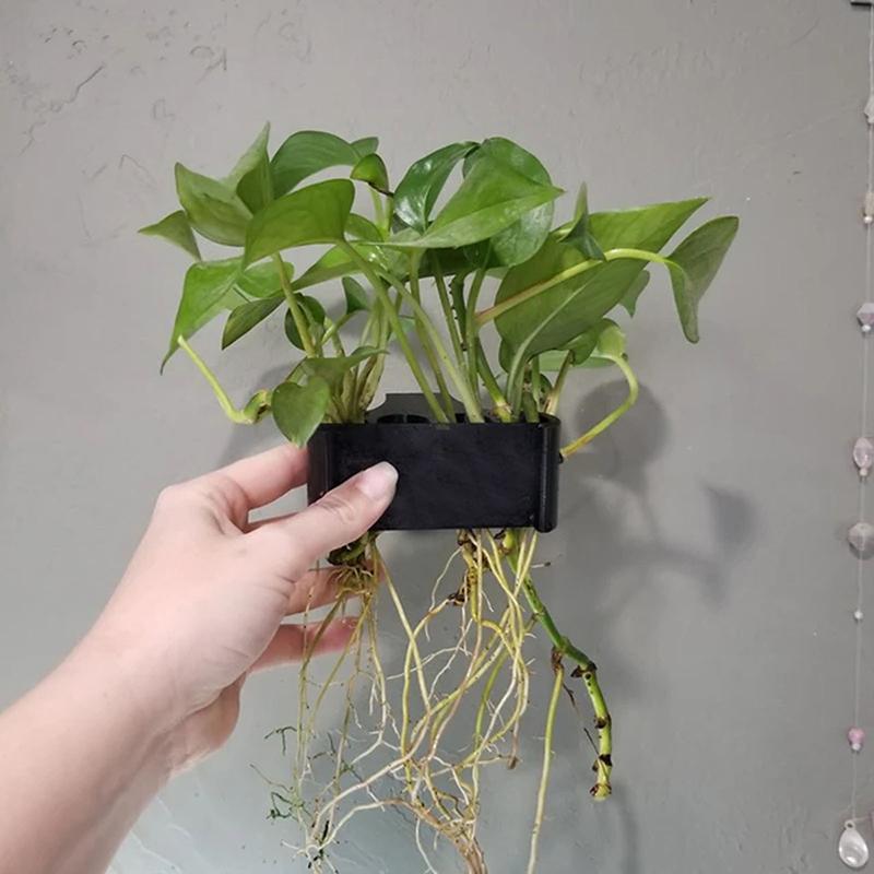 1 2 3Pcs Aquarium Plant Suppor - Aquarium Planted Setup 评论和价格