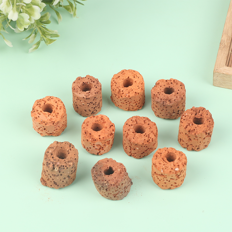^10Pcs Plant Ring Aquarium Fix - Planted Aquarium Media 评论和价格