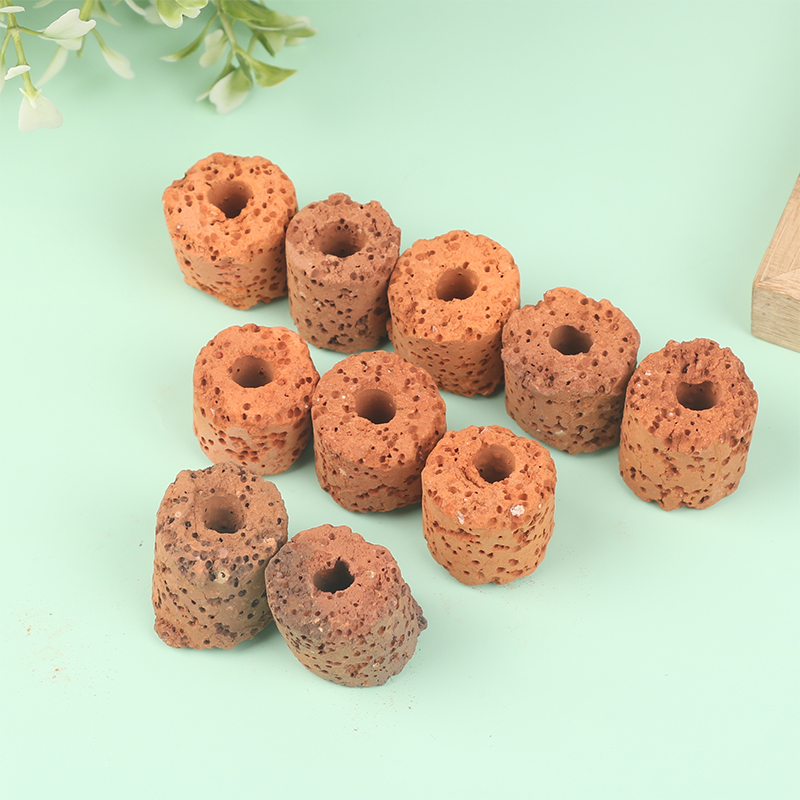 ^10Pcs Plant Ring Aquarium Fix - Planted Aquarium Media 评论和价格