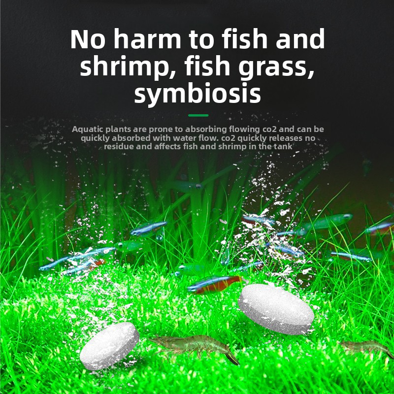FKSC CO2 Booster Tablets for A - Aquarium Plant Yellowing 评论和价格