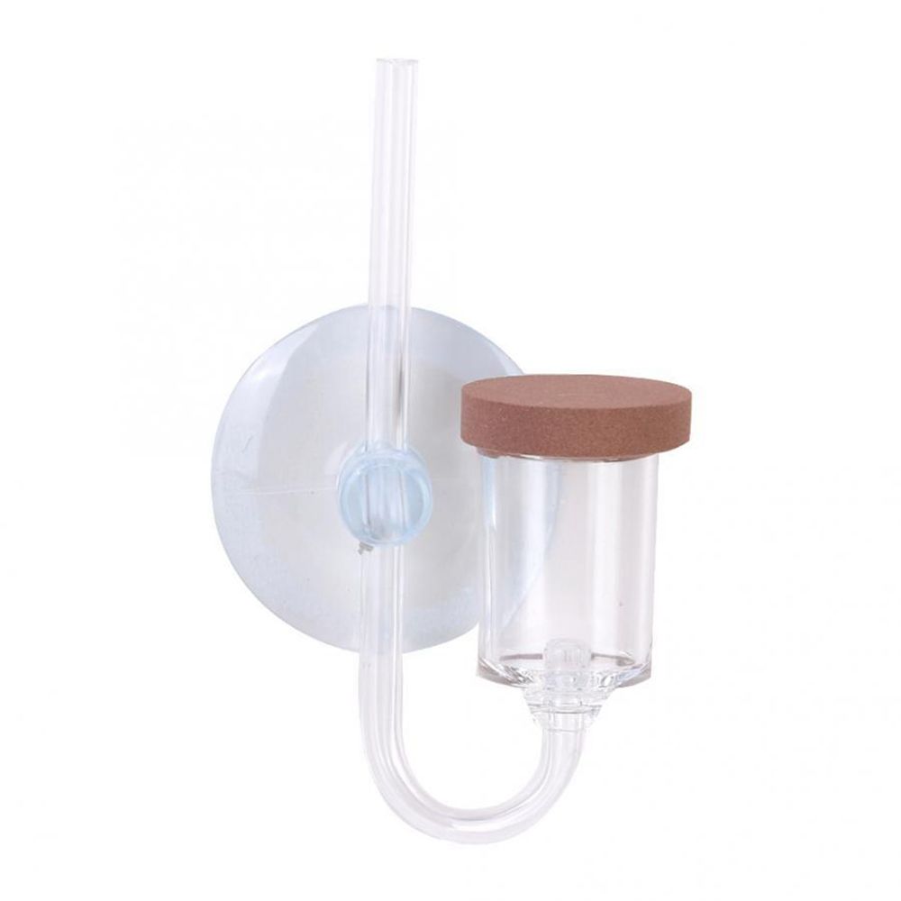 Acrylic Mini Fish Tank Live Pl - Planted Aquarium Accessories 评论和价格