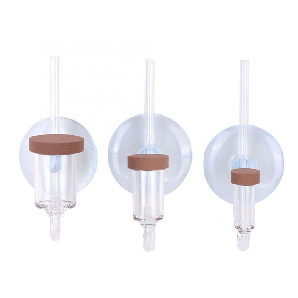 Acrylic Mini Fish Tank Live Pl - Planted Aquarium Accessories 评论和价格