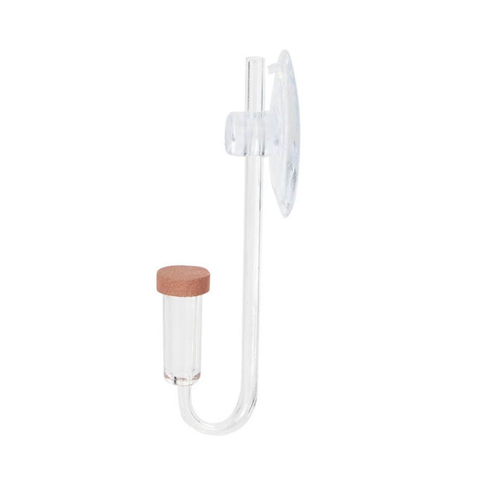 Acrylic Mini Fish Tank Live Pl - Planted Aquarium Accessories 评论和价格