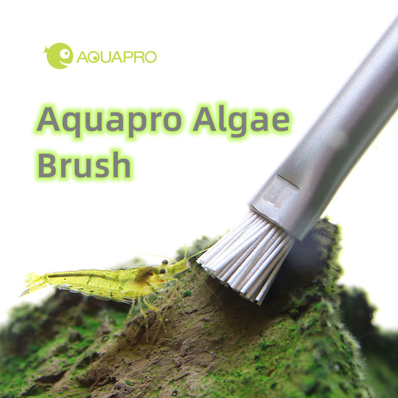 Aquapro Algae Brush Aquarium F - Planted Aquarium Ada 评论和价格