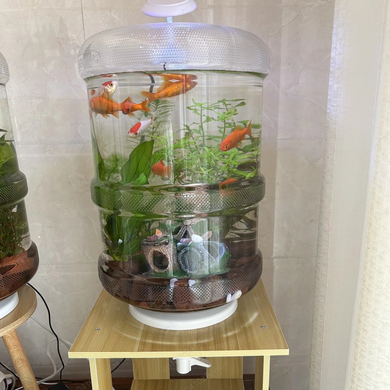 Instant Setup Home Fish Tank 3 - Aquarium Planted Setup 评论和价格