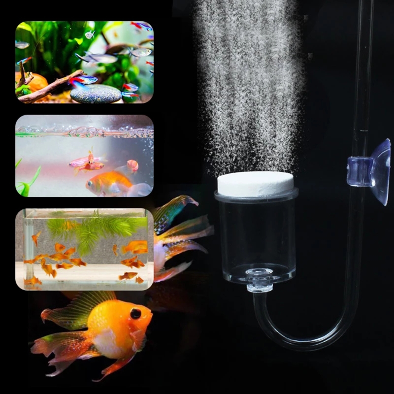 4pcs Set DIY CO2 Diffuser For  - Planted Aquarium Media 评论和价格