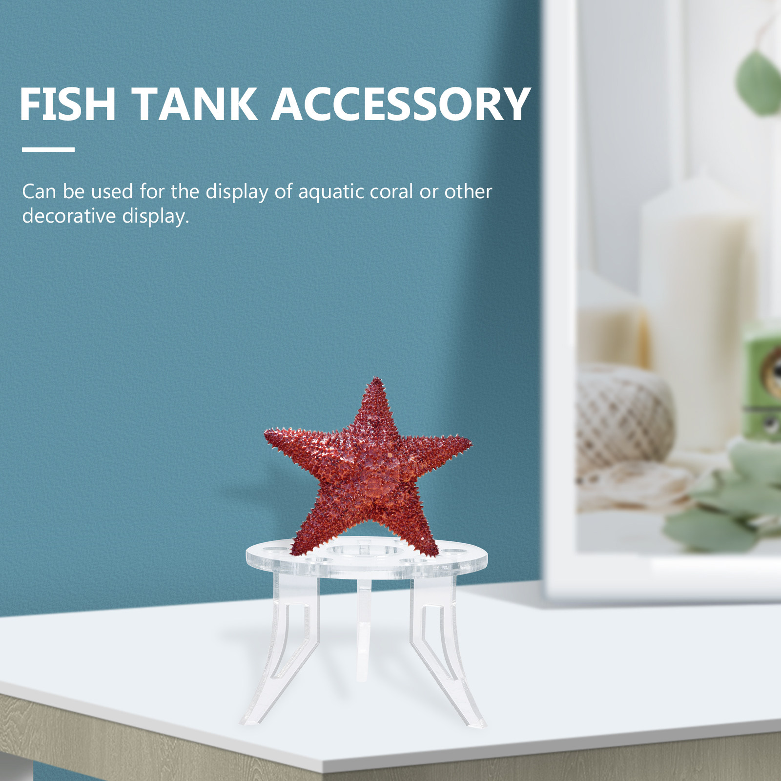 1Pcs Coral Base Stylish Strong - Aquarium Planted Setup 评论和价格